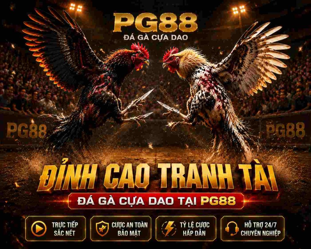 Đá gà cựa dao PG88 mang lại cảm giác kịch tính